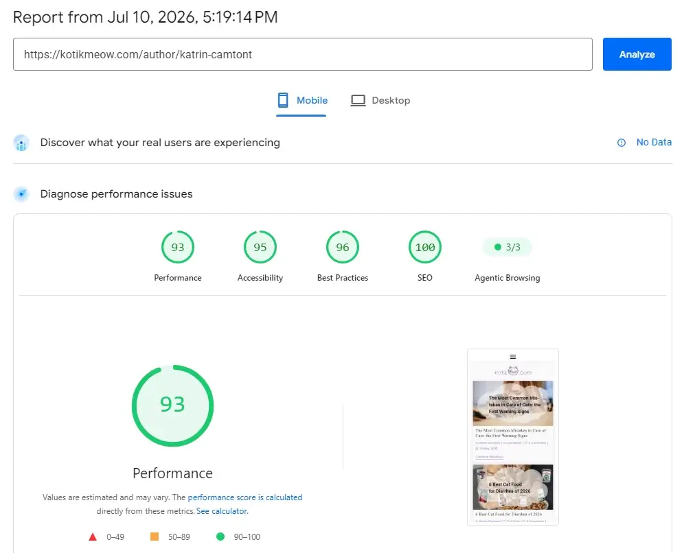 Kotik Meow Blog page speed optimization
