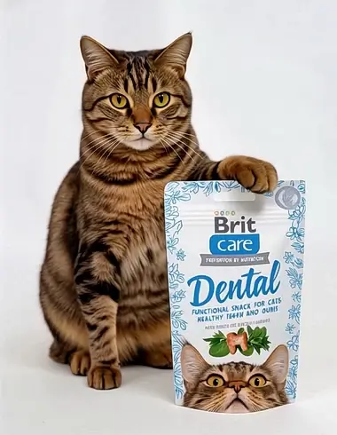 Creative Video For Cat Treats Brit Care Dental
