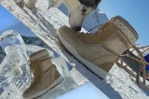 Read more about the article Amazing Visual Content Winter Collection Of Branded Clothing Shoes Bogner