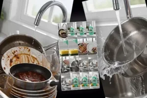 Read more about the article Frosch Dishwashing Liquid